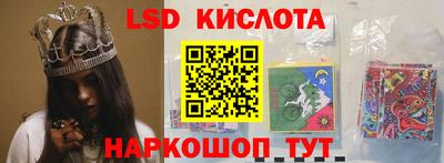 шишки Заволжье