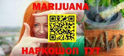 шишки Заволжье