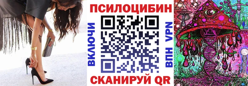 MEGA вход  Новосибирск  Псилоцибиновые грибы Psilocybine cubensis 