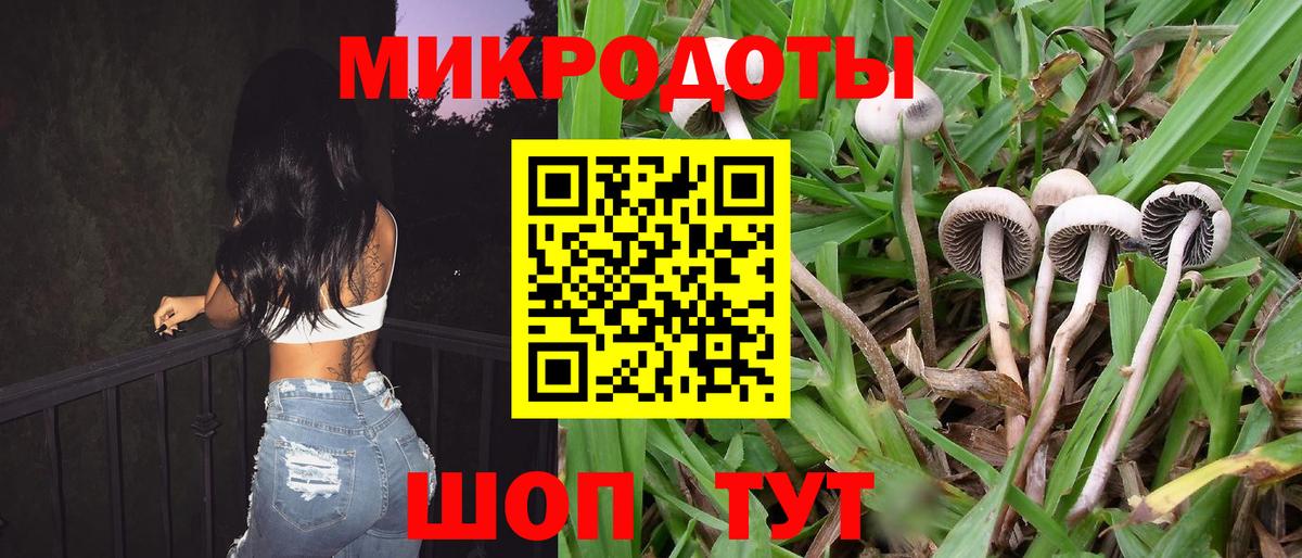 Псилоцибиновые грибы прущие грибы Новосибирск